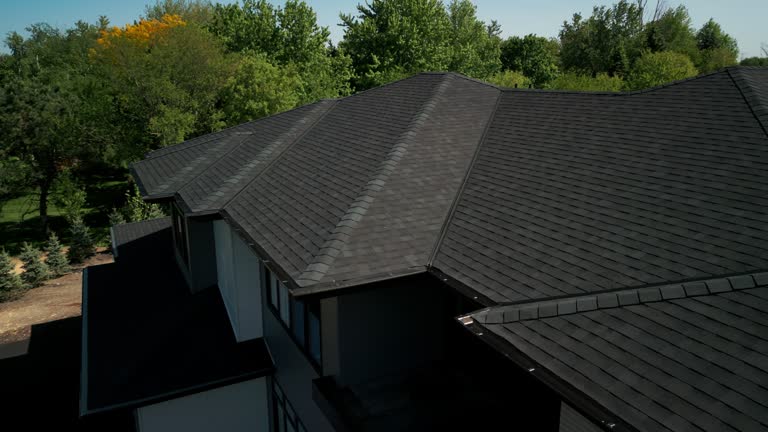 Professional Roofing Service in Loch Lomond, VA