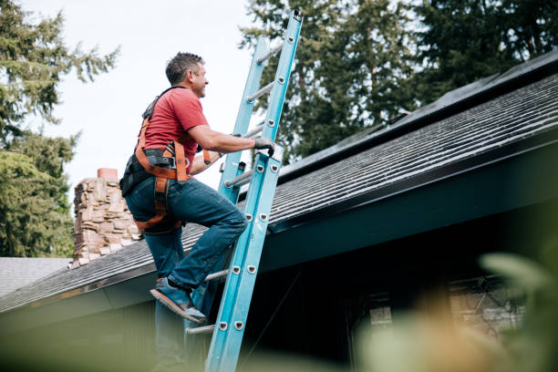 Best Roof Maintenance and Cleaning  in Loch Lomond, VA